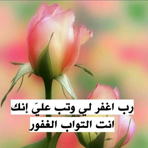 رمزيات جديده انستقرام - احدث واجدد الصور للانستقرام 2019 5866 3