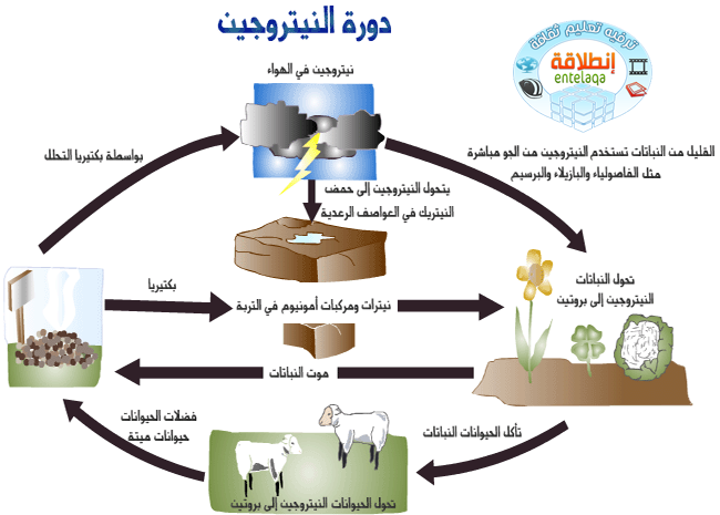 بحث عن الهواء - اهمية الهواء في حياتنا 12993