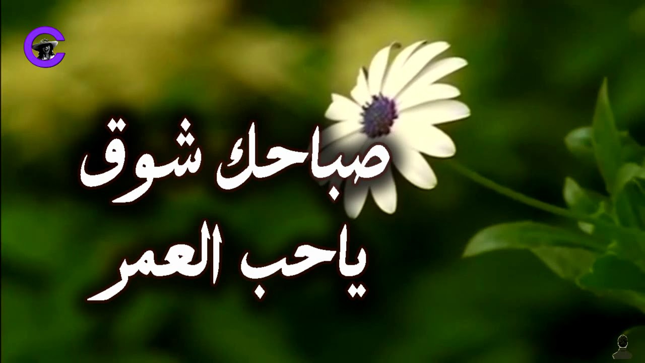 اشعار قصيره- اهدي هذا البيت لحبيبتك 6372 6