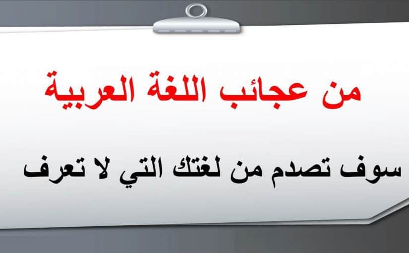 اللغة العربية الفصحى - معلومات عن اللغه العربيه 633 1