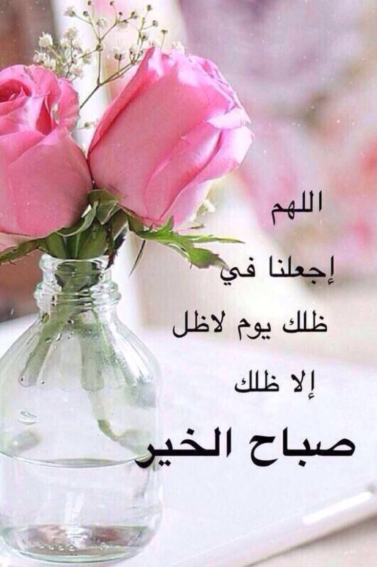 صورصباح الخير جديده - صور جديده لااجمل صباح 991 7