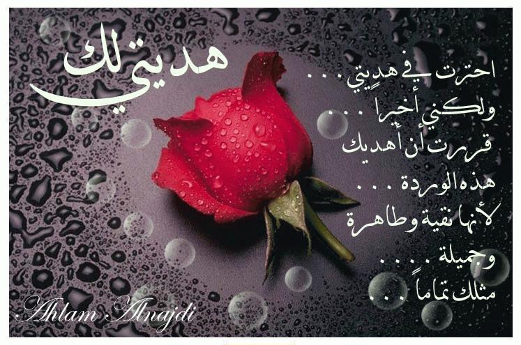 شعر لعيد الميلاد - احتفالات وتحضيرات اعياد الميلاد 5129 3