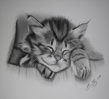 صور رسومات - اجمل واجدد الرسومات 5098 12