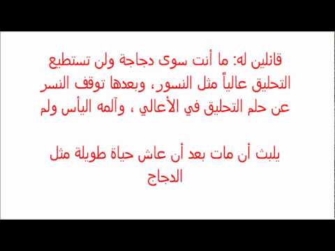 حكاية قصيرة- حكايتي مع اهلي قصة مؤلمة 5949 4