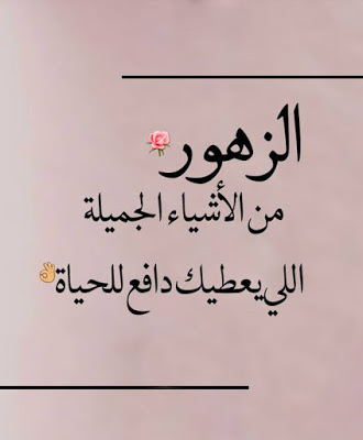 كلمات جميلة جدا ومعبرة - صور كثيره توضح اجمل الكلمات التى يكون بها معنى 559 2