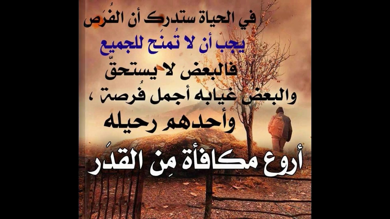 حكم وامثال بالصور روعه - اقوال ماثوره روعه 4779 2