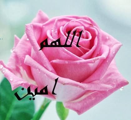 صور اللهم امين - صور دينية واسلاميه 2664 10