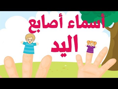 معلومات عن الجسد - اسماء اصابع القدم 12626 8