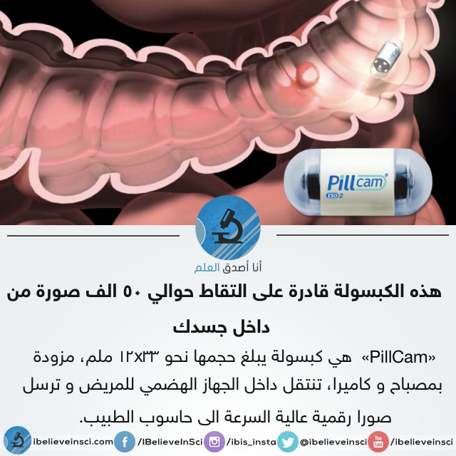 مقدمة في نظم المعلومات 12064