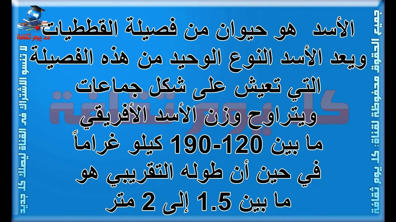 بحث ثقافة اسلامية - معلومات اسلامية مهمة 12802 8