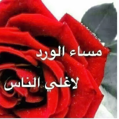 صور مساء الحب - احلي سهره مع حبيبي 3545 8