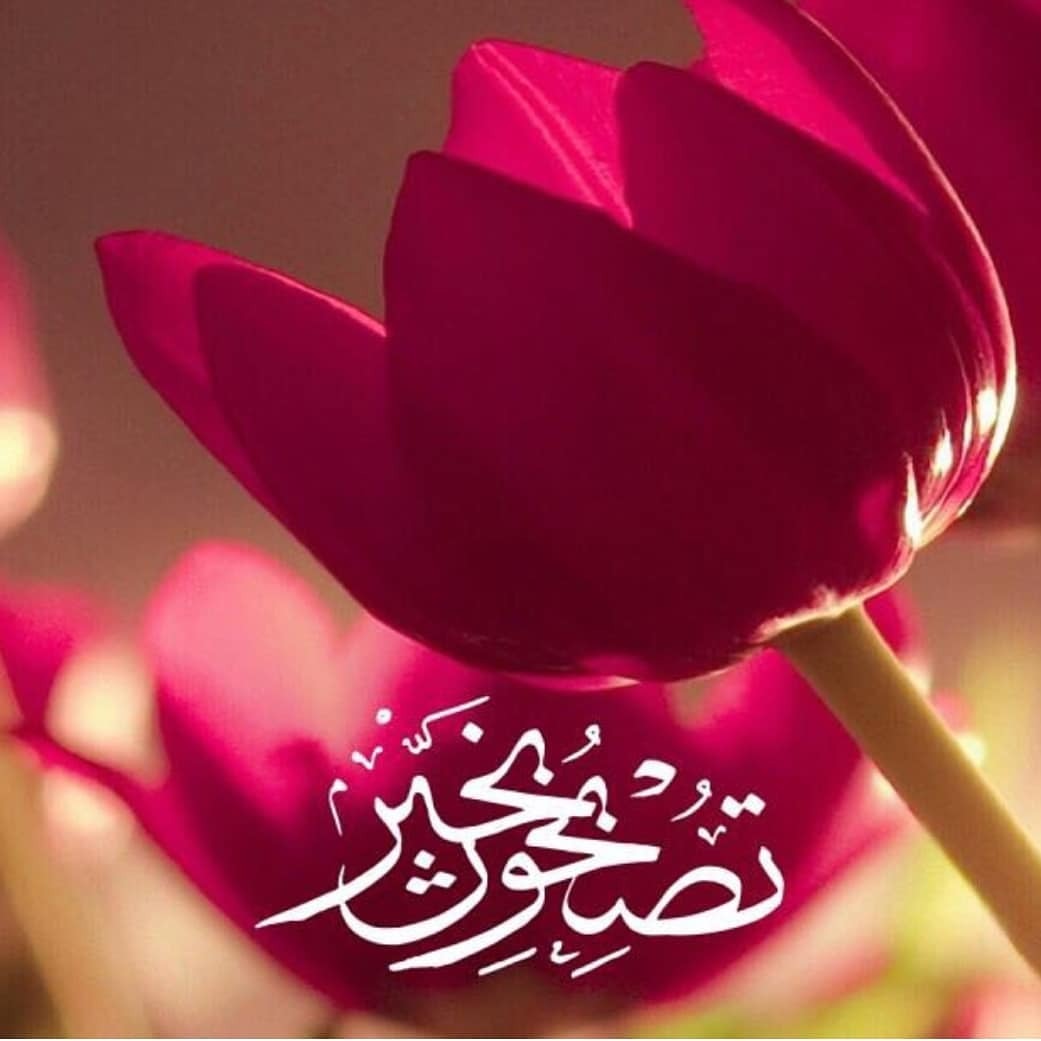 صور تصبح على خير - اجمل واحدث الصور &Quot;تصبح على خير&Quot; 5917 4