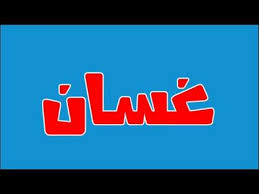 معنى اسم غسان - نتعرف على الصفات الحامله لاسم غسان 497 2