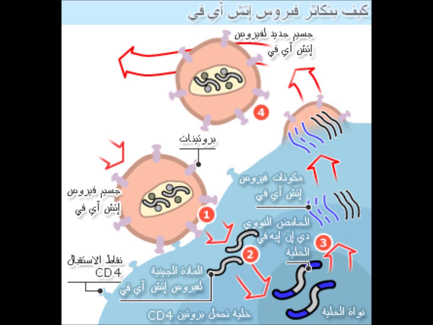 علاج مرض الايدز , تطور الطب فى العلاج