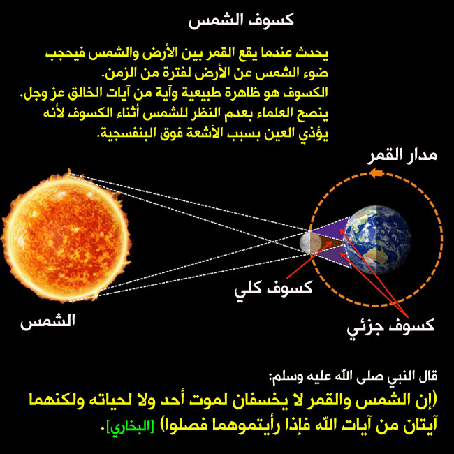 حقائق علمية , اغرب الحقائق العلمية