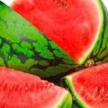 17007 1 فوائد قشر البطيخ لتخسيس الوزن ، معلومات مهمة حلاوة الوقت