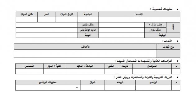 سيرة ذاتية 2024 , بالتفصيل